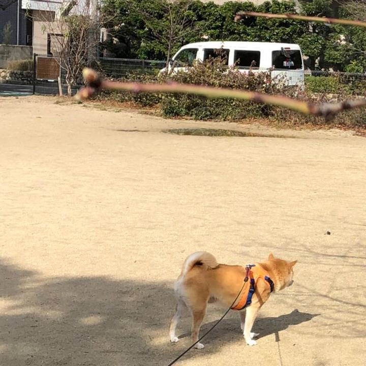 E63bf742 a0aa 4800 b017 25a11b2876e8 1580308702372