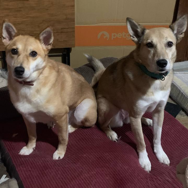 E63c0ec9 e6ba 4df8 9c5b 82767353ebec 1658633462662