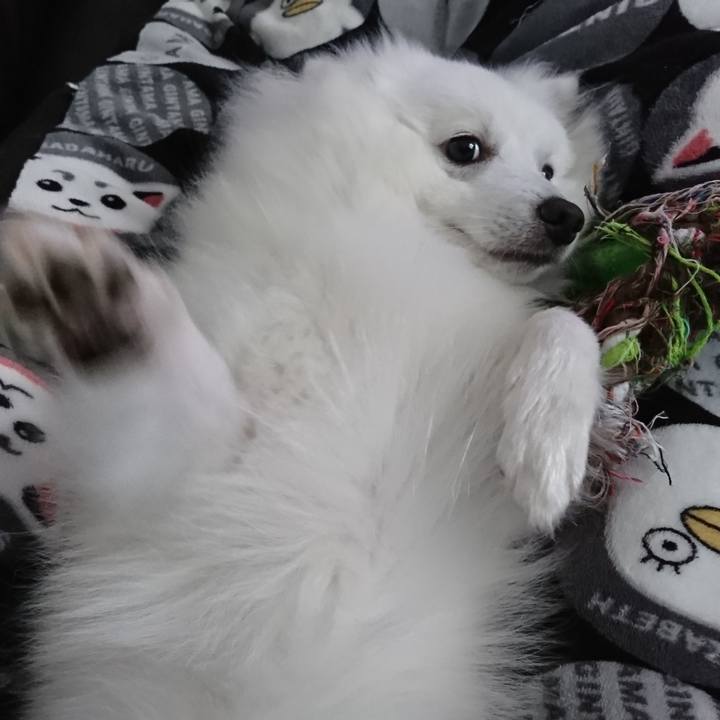 E63c0fdd 8106 4bdd bb4c 061e3074d780 1559101104462