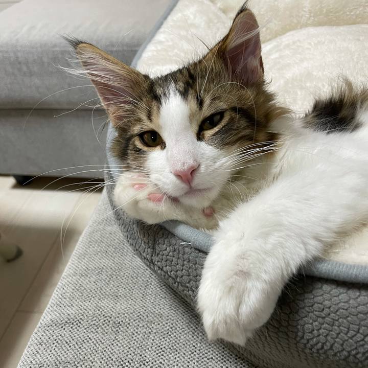 E63c1d28 d56b 40b1 ba83 8ca5adad76cd 1634377795946