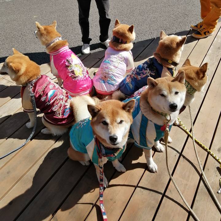 E63c23b7 0926 4363 b59c d488db3a390a 1677467338489