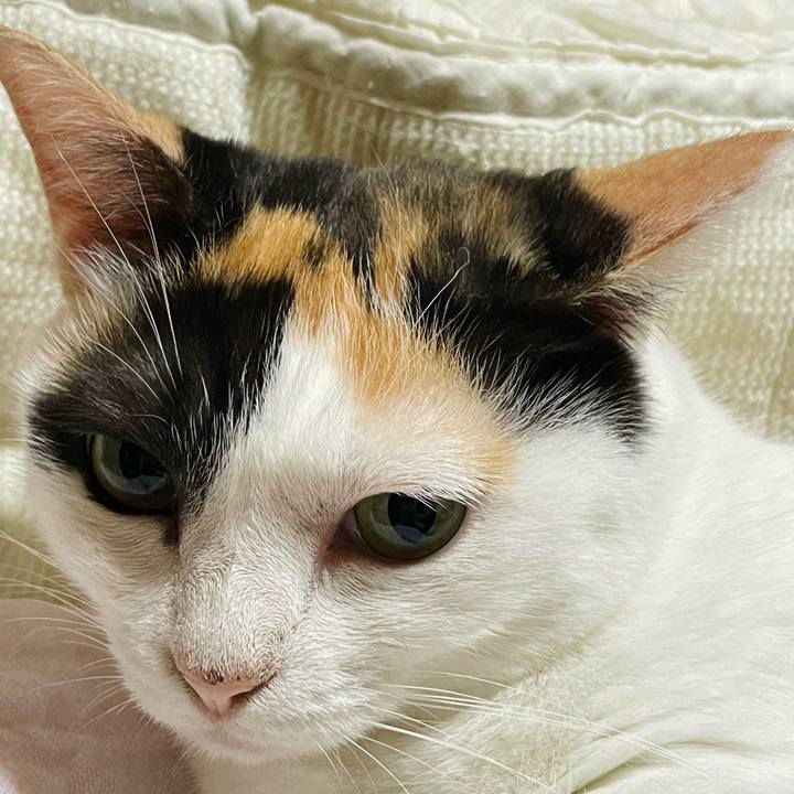 E63c7469 a5d5 459e accc b55819849202 1628298663324