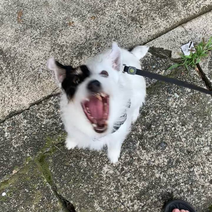 E63c9722 2c43 4237 ba73 64a1517a858d 1720393779037