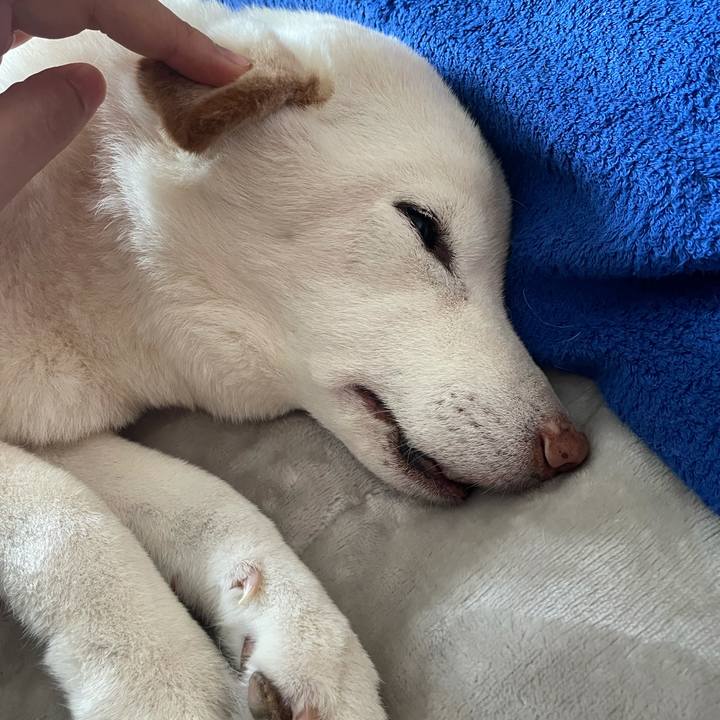 E63cbe40 841d 401f 9a77 26d423253768 1636857602105