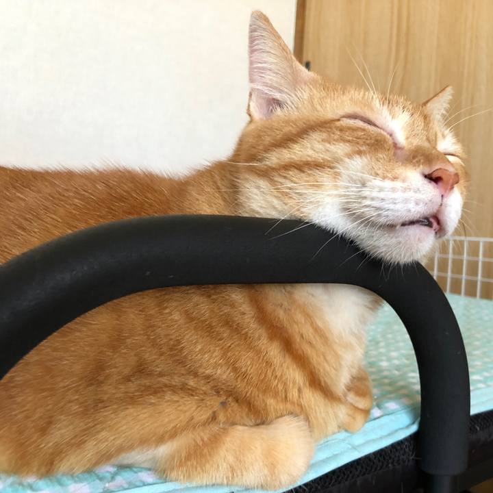 E63cc907 5763 47cc 9e2f 9a4b2972140f 1660712738149