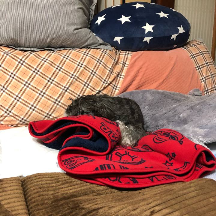 E63ce586 c576 47d5 83ea beff98560c10 1635515086878