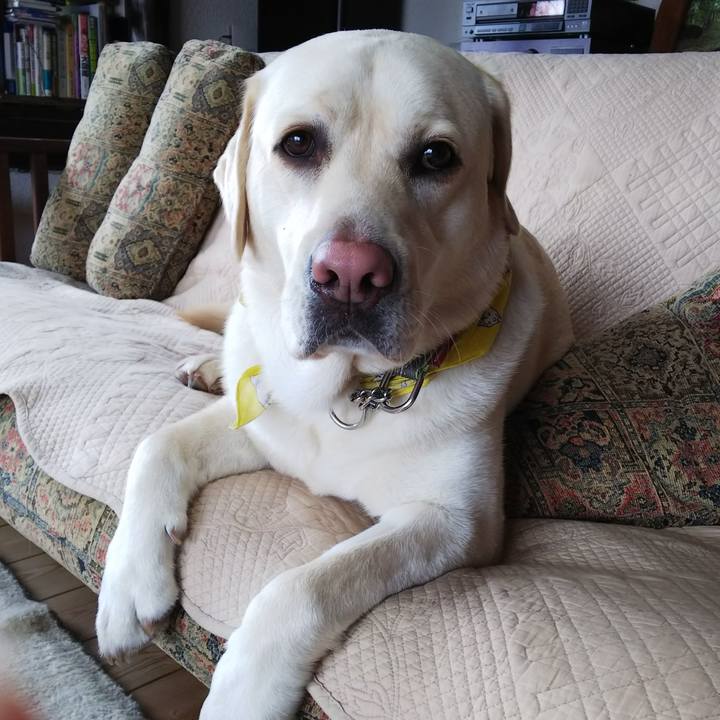 E63ce8da a1ed 4a78 9f9e 0e1e8965efca 1521543801506