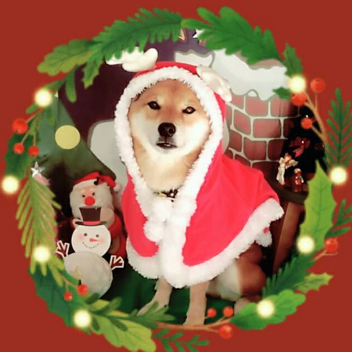 E63cfa71 3a87 40ec a3aa a4974dac792a 1577234856682