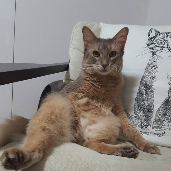 E63d1b21 1b89 4c4a b0d1 47ed92ca5c01 1535972250098