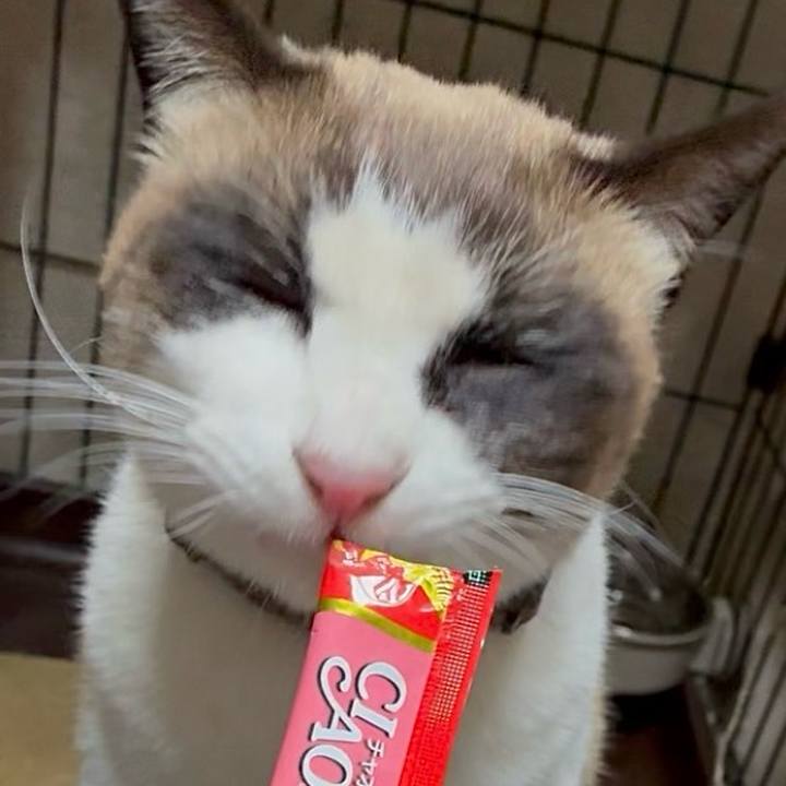 E63d585d 7daa 483e aaca 01a6a3125ddc 1768302291633