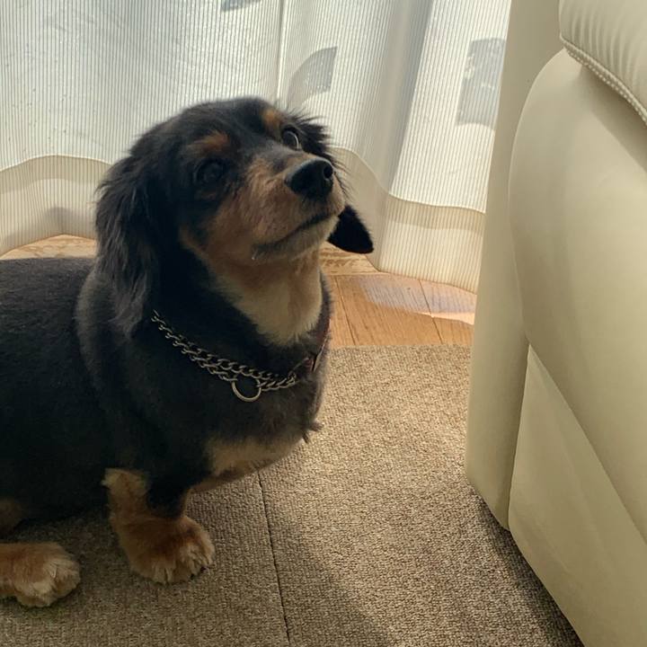 E63d9b8d 61f1 42b2 a90b 04d51ef0cc6e 1584745973035