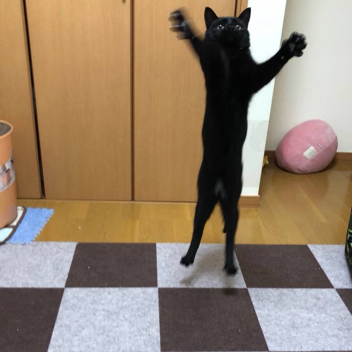 E63dd3e4 4d4d 43fc 8231 43cecdf121c8 1514966613937