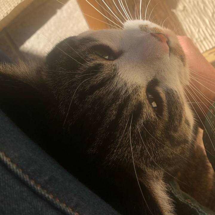 E63df1c6 b732 4e05 9584 931af542b484 1548570298396