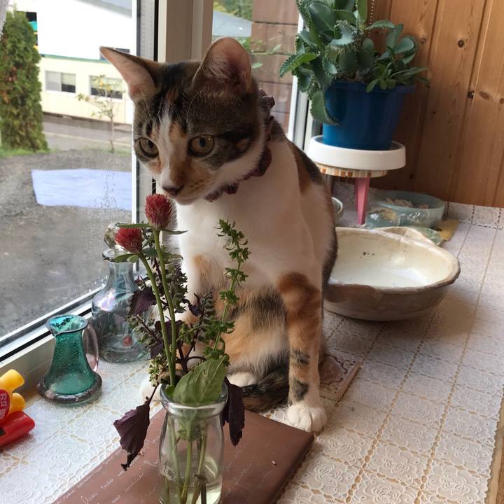 E63e0303 2fed 42bf 8e07 499aa2689e0a 1632085074966