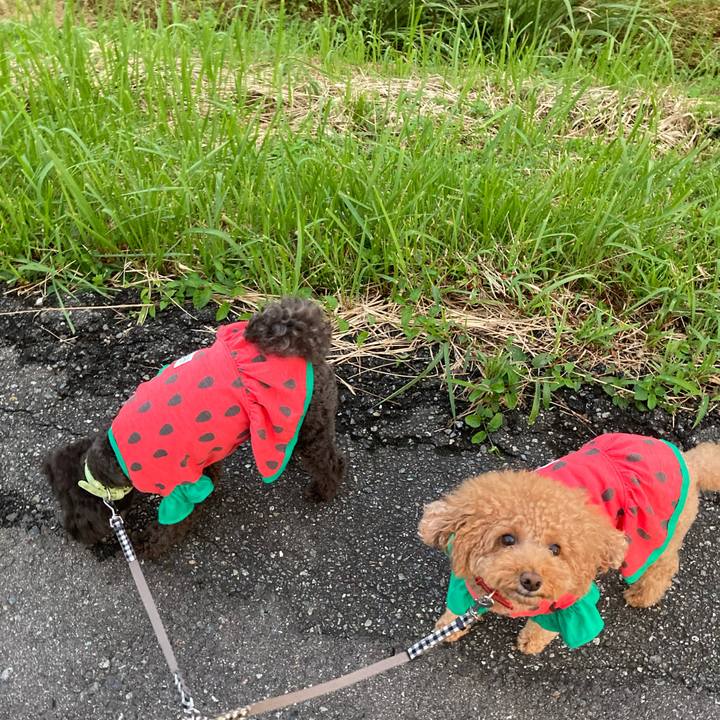 E63e30de 0f43 4344 bddd b8999b9e3449 1629548696345