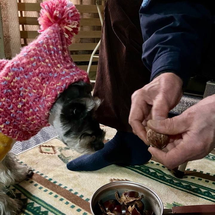 E63e3e7b 9330 4a5c b344 95f6a28f18cf 1734851677752