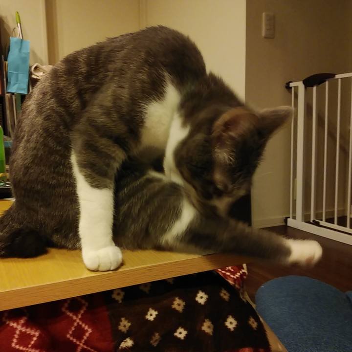 E63e8533 9b37 4c8f a059 f0aab3feb0ea 1586701678668