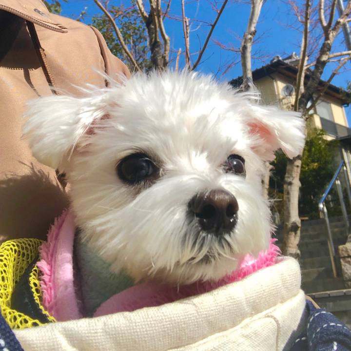 E63ef8d5 ed06 495d 9265 1cb38cde6461 1550629702307