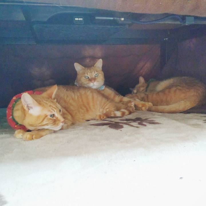 E63f0b6e 5a3b 4be1 9716 113188750dd5 1643515732701