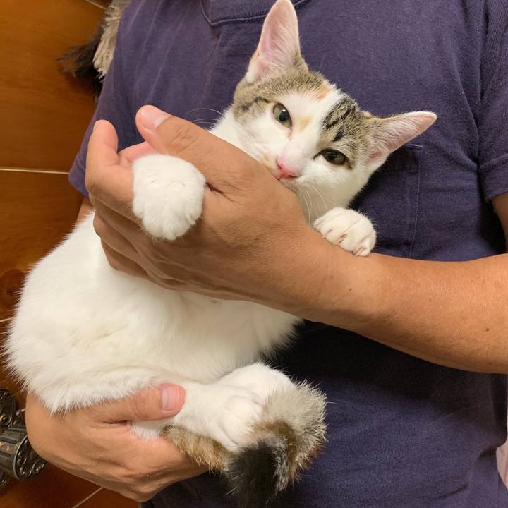 E63f307b a328 42b5 94cf b01fbf0023fa 1598528891898