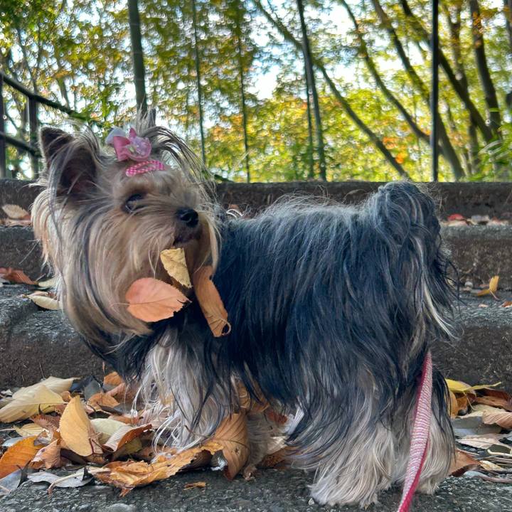 E63f3edc 69b2 4f57 ab13 5497e84d0758 1668219661448