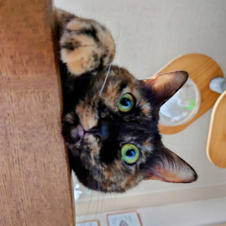 E63f5141 9212 45e5 8640 d3220ca3e262 1734081560017