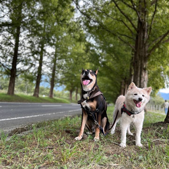 E63f534f 4834 4efa be1b 829cae1c35ac 1760360557086