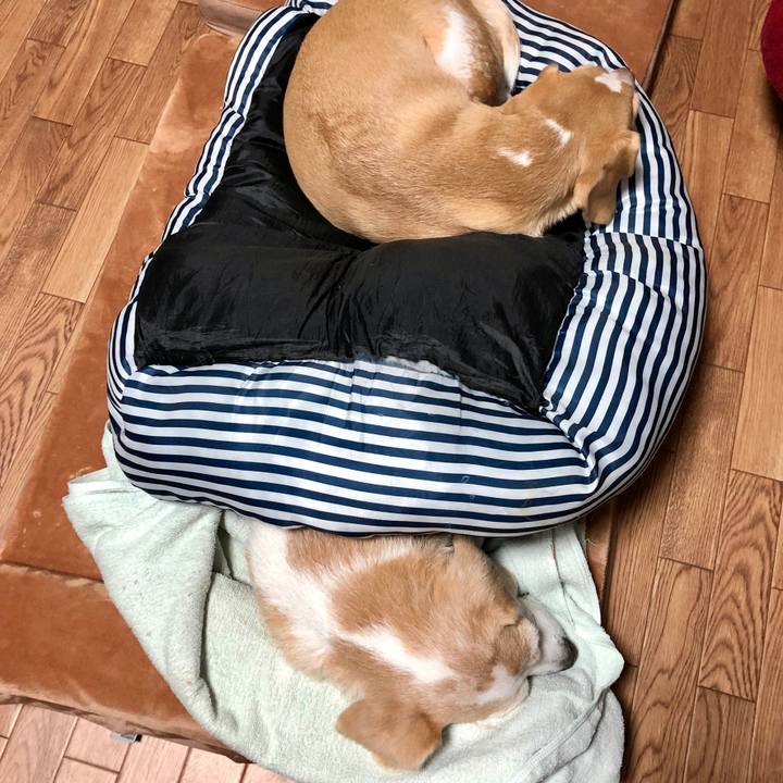 E63f93bc c43c 45a9 bfbe ec321a0e477d 1602058687125