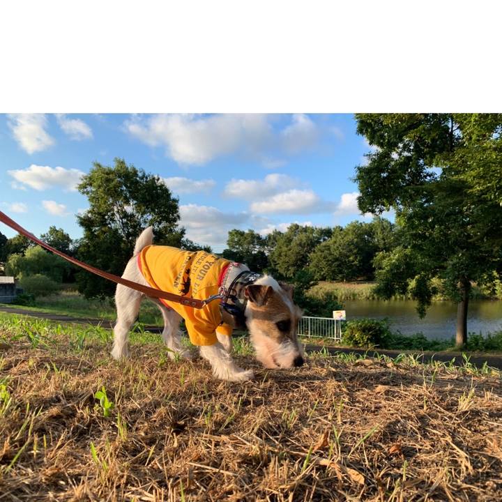 E63fb143 2152 41d9 a442 a93ceb00851f 1598265689241