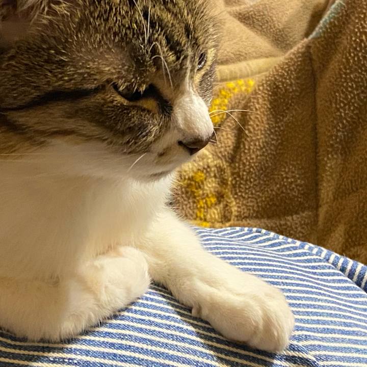 E63fc779 b5e9 43c3 99ea 9ff15dbc883a 1611571581315