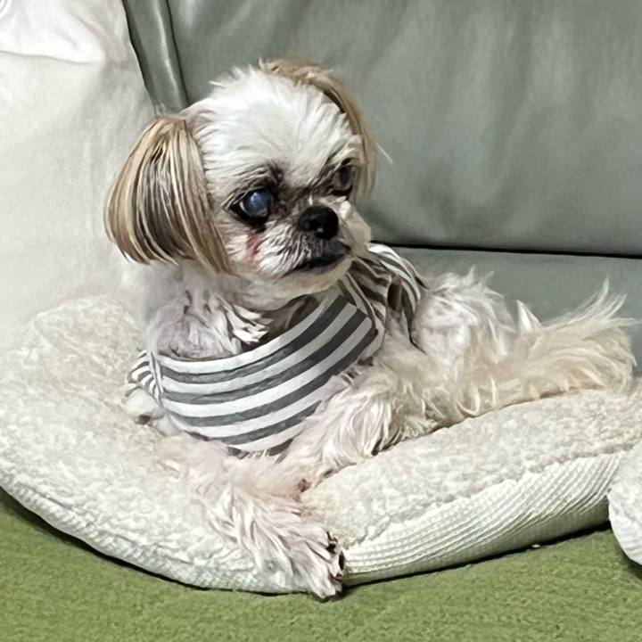 E63fee40 d129 4b9c 80ee 24ac91bd7c1e 1738364638317