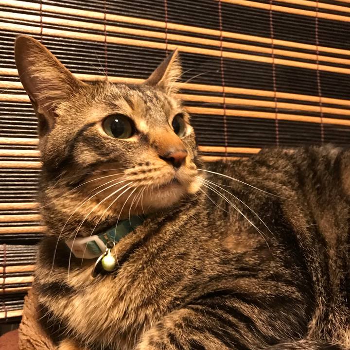 E6401db7 f4fe 4e4a a7fe d17133249902 1555606884693