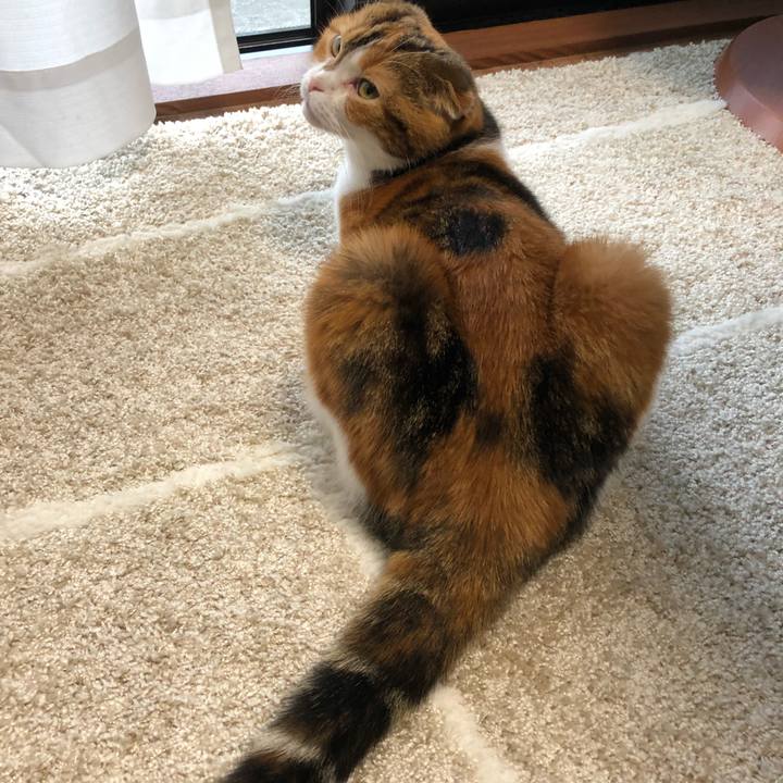 E64029ed 2360 466c bdce bda3520a511d 1535847448494