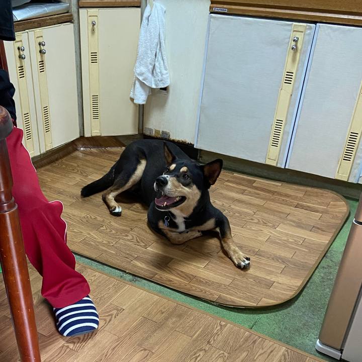 E6404fc1 57b0 44e6 8b7e 83c2beec347c 1623499302120