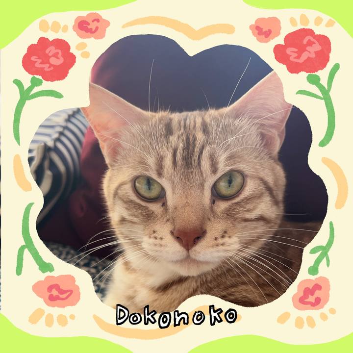 E640513c ac1b 420f b393 fe684e100964 1715466719324