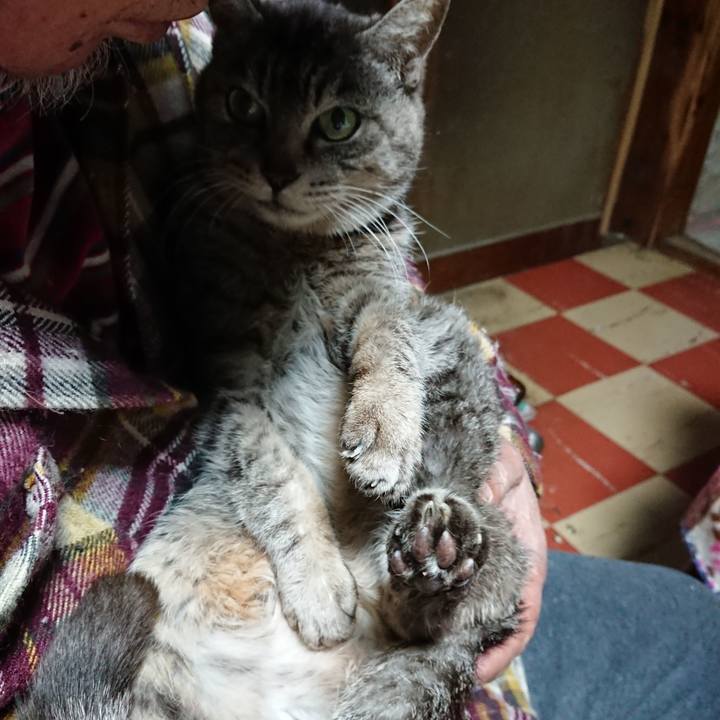 E640b258 9488 4564 83bd a1775ee5665f 1584820985163