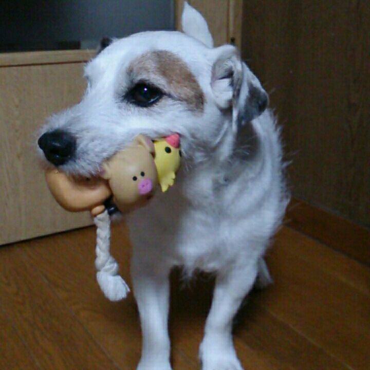 E640ed1a 42a9 4ed8 8479 172e7e7f6596 1510699796056