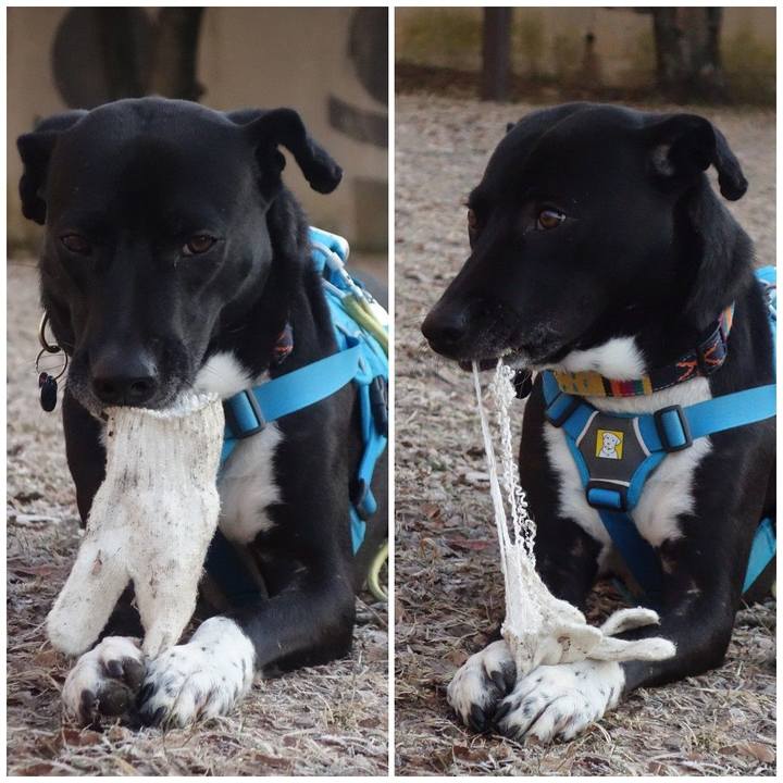 E641070d dec5 4c8a bb9c f67478b6e4ee 1612484784153