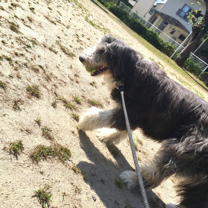 E6412014 51f9 4644 bfd6 f5d40e7b2ff9 1535371328269