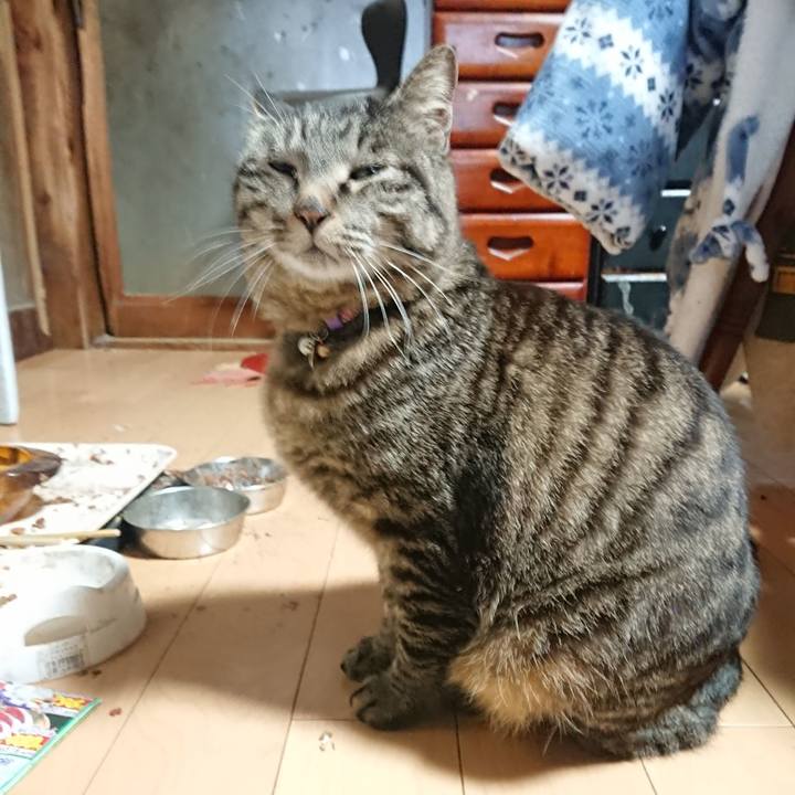 E6413daf 67bb 411e a799 b7684fe6ca3a 1650146863443