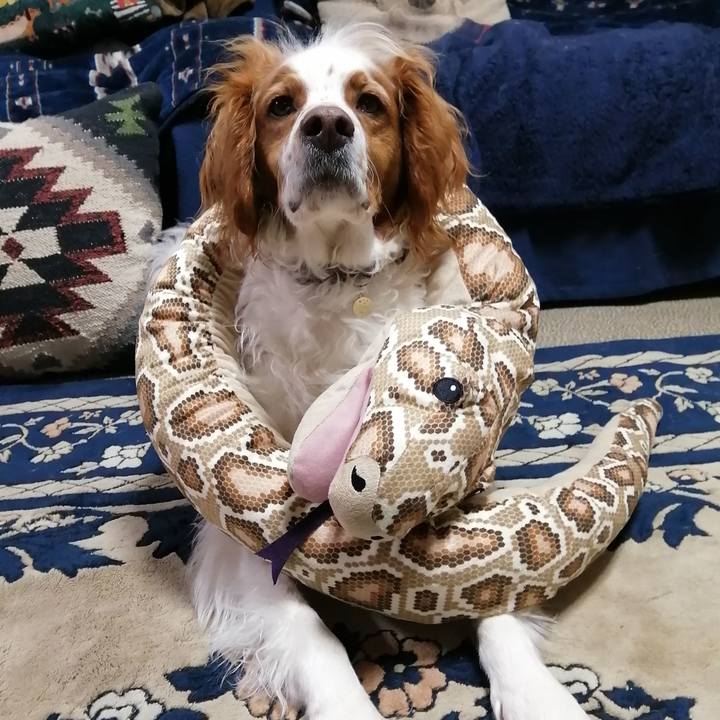 E6416af0 680e 4521 9c49 8c62d29ed6be 1584706504787