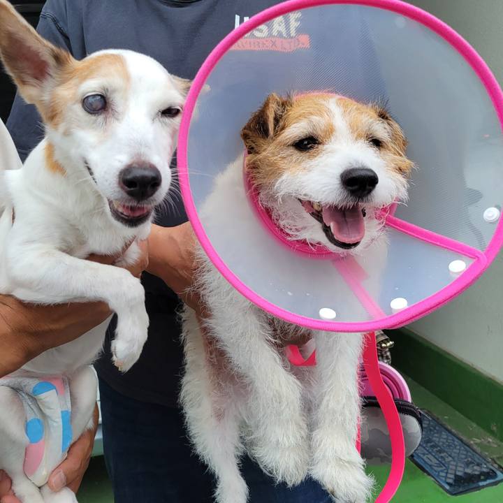 E641a2cf 82f2 40d8 971d e30a2adcd189 1719111147372