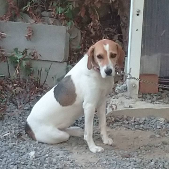 E641b5e6 df24 48f5 bdaf 3a923c7c670e 1598693768376