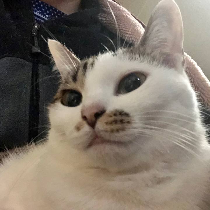 E6420233 5d3b 4357 a7e5 177c00743697 1578434381630