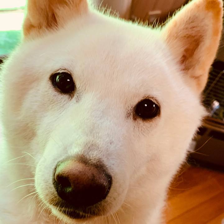 E6424417 567a 4af0 8860 46206e4af882 1598994415989