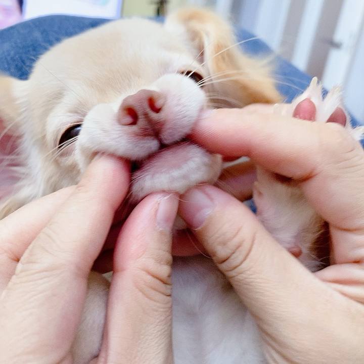 E6425ba4 a949 4b71 98d4 2a8d261c9c38 1596690875771