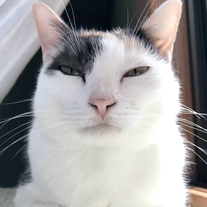 E6427703 c9b0 4cbf a2f7 fdd729b36cbb 1535467115487