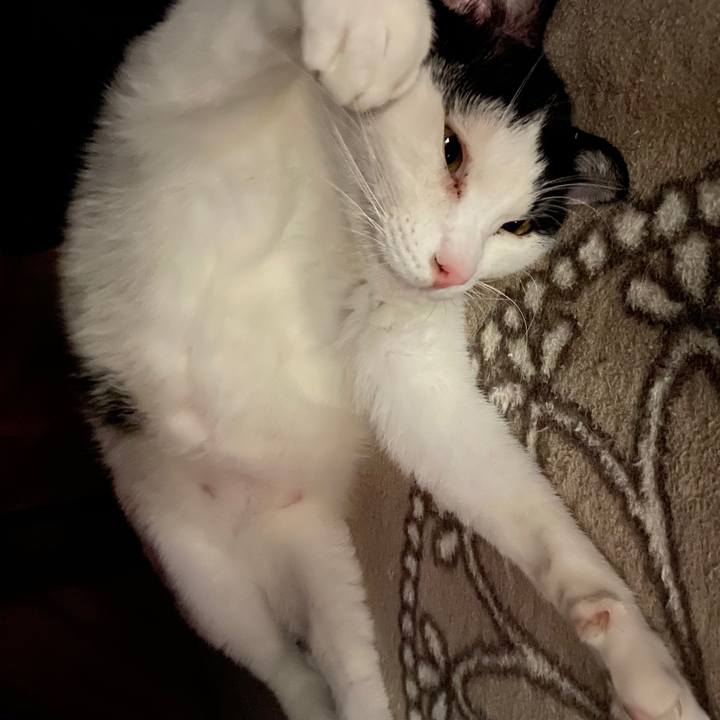 E64281ea afee 482c be93 4d1eb1a0d0da 1578813274628