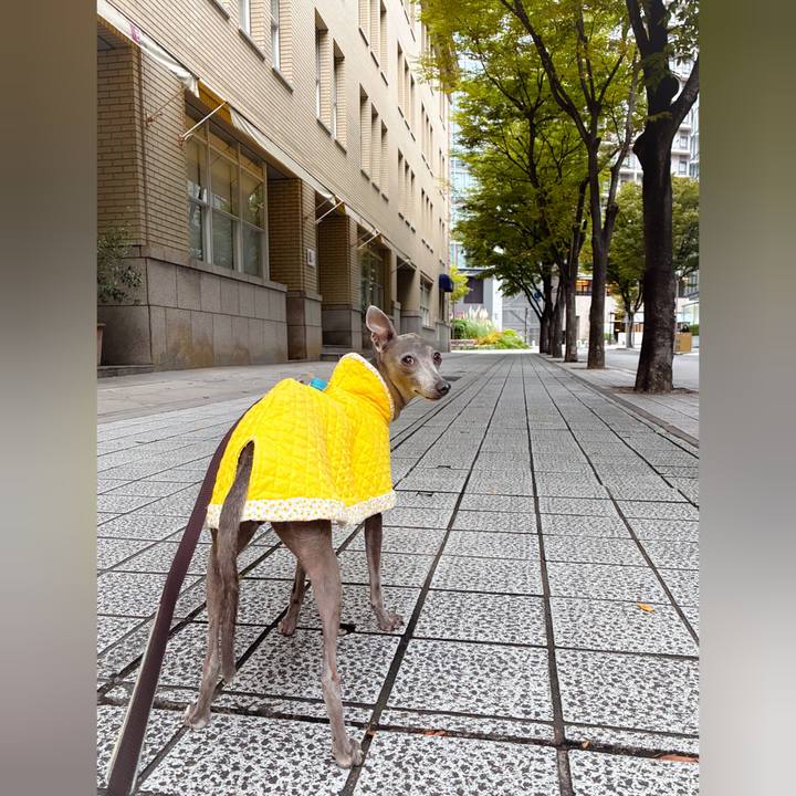 E642b127 6d88 4d5f 8822 b627c9f7682a 1762070735783