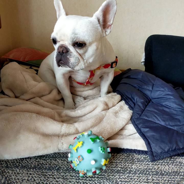 E642bf16 624a 44a8 9a87 9dfafe24a1da 1652395987629